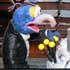 Muppet Comic “James Pond – Nosefinger”